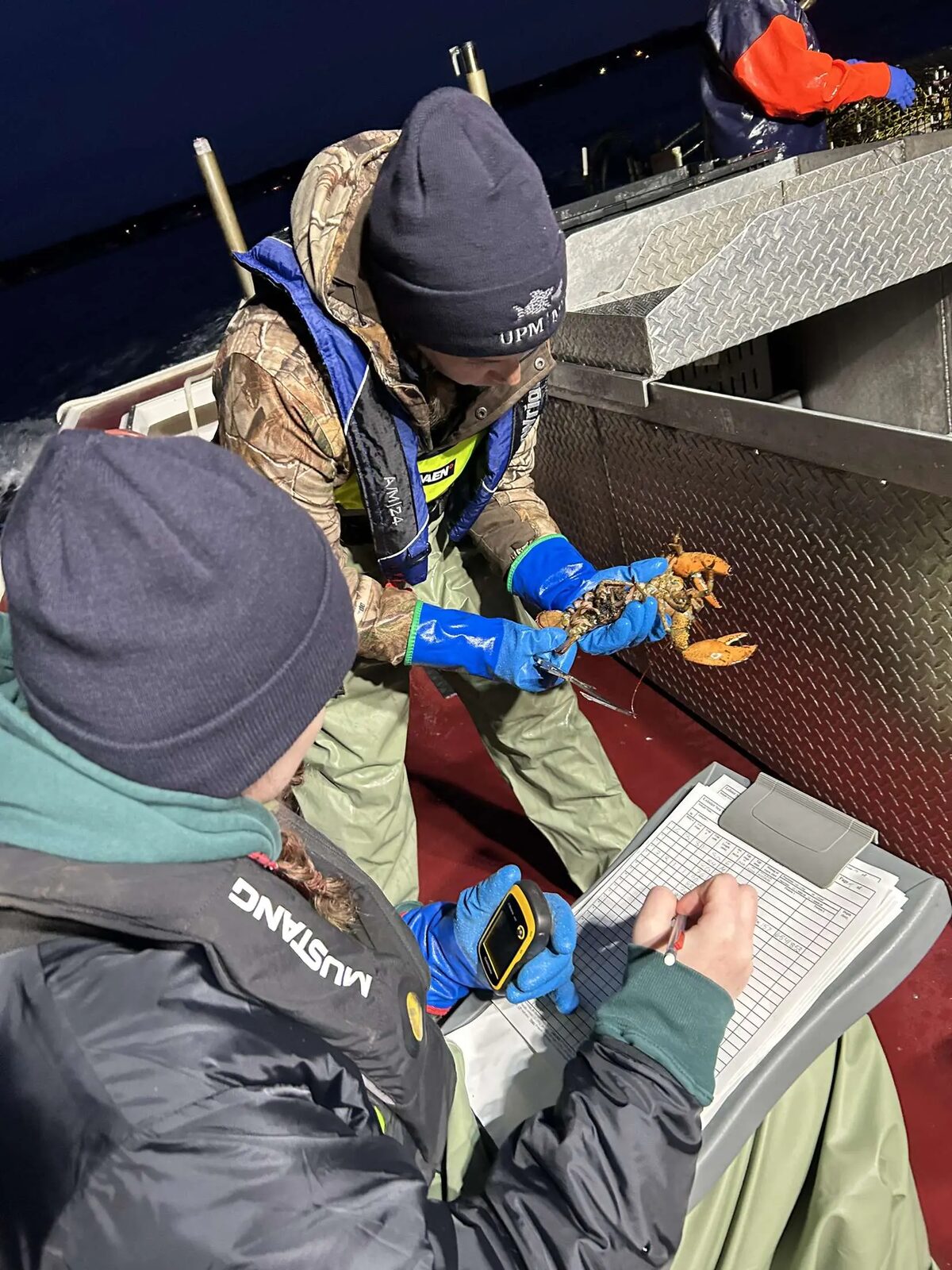 Chercheurs mesurant un homard à bord d’un bateau